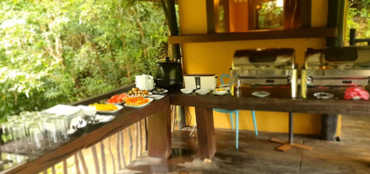 Explore Sinharaja Rain Forest Tour Camp Dombagoda Eksteriør billede