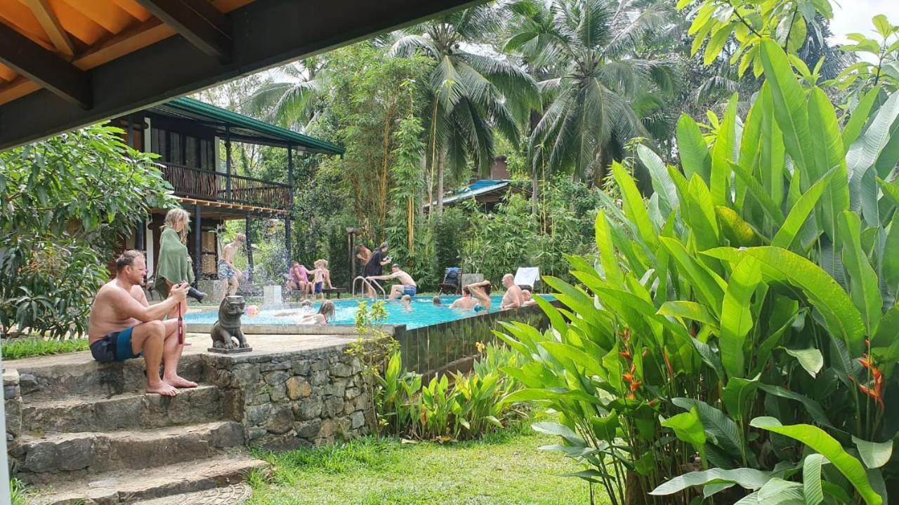 Explore Sinharaja Rain Forest Tour Camp Dombagoda Eksteriør billede