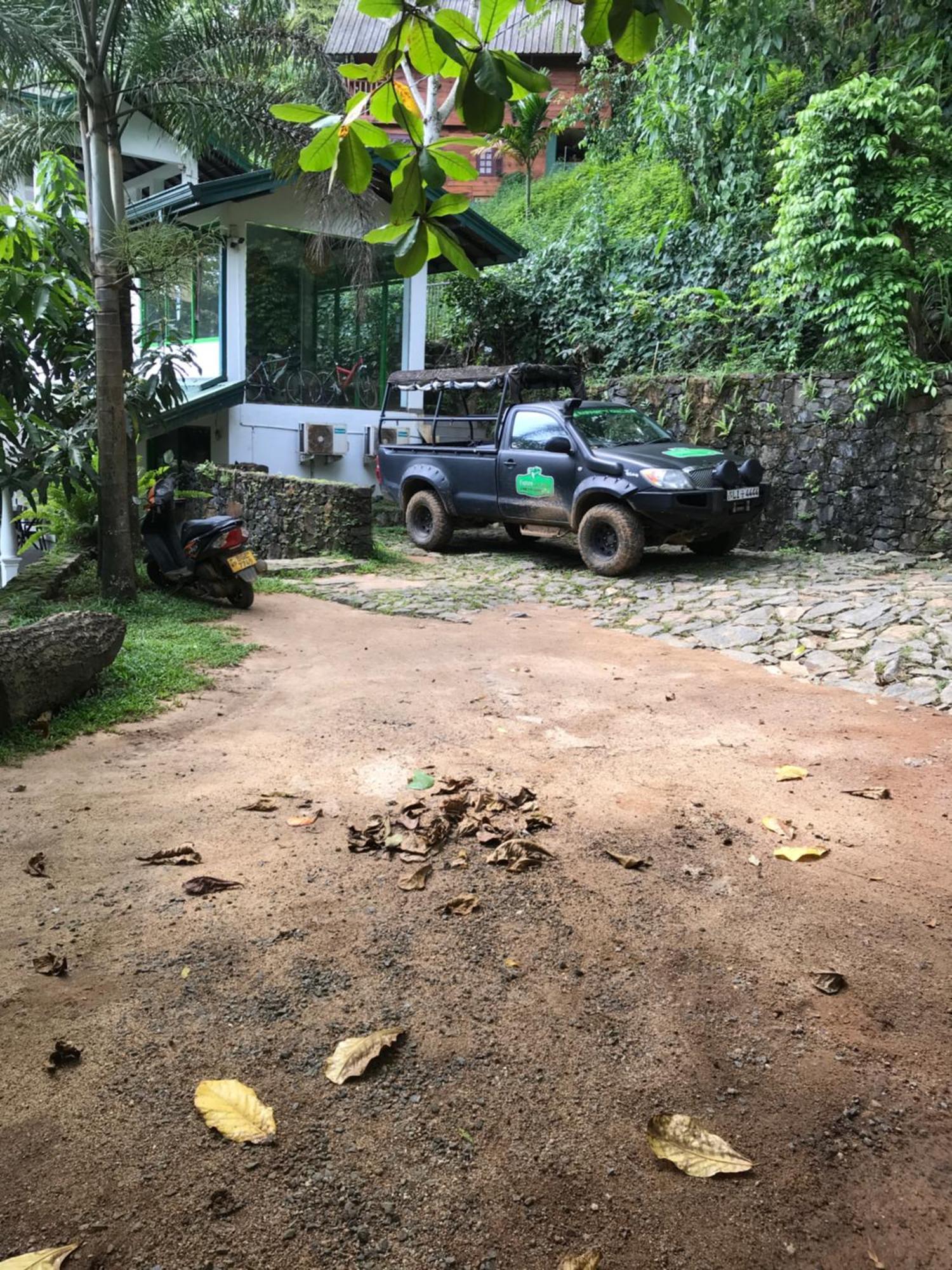 Explore Sinharaja Rain Forest Tour Camp Dombagoda Eksteriør billede