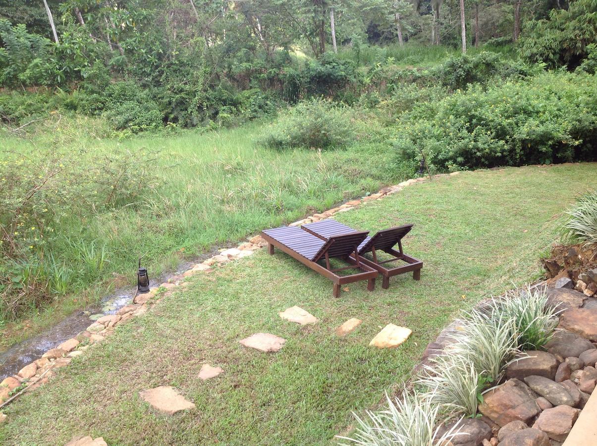 Explore Sinharaja Rain Forest Tour Camp Dombagoda Eksteriør billede