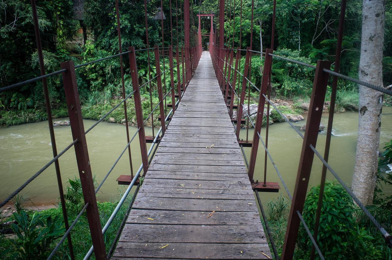 Explore Sinharaja Rain Forest Tour Camp Dombagoda Eksteriør billede
