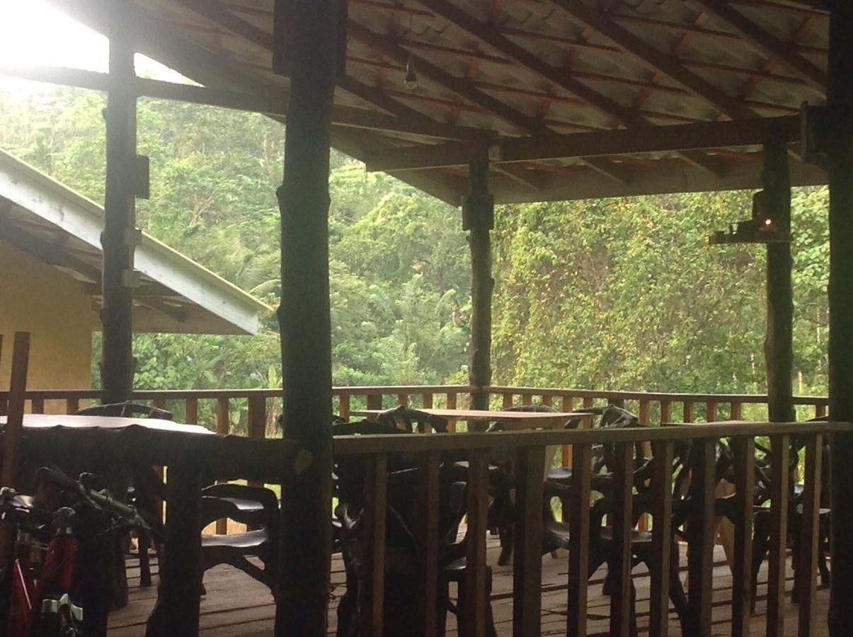 Explore Sinharaja Rain Forest Tour Camp Dombagoda Eksteriør billede