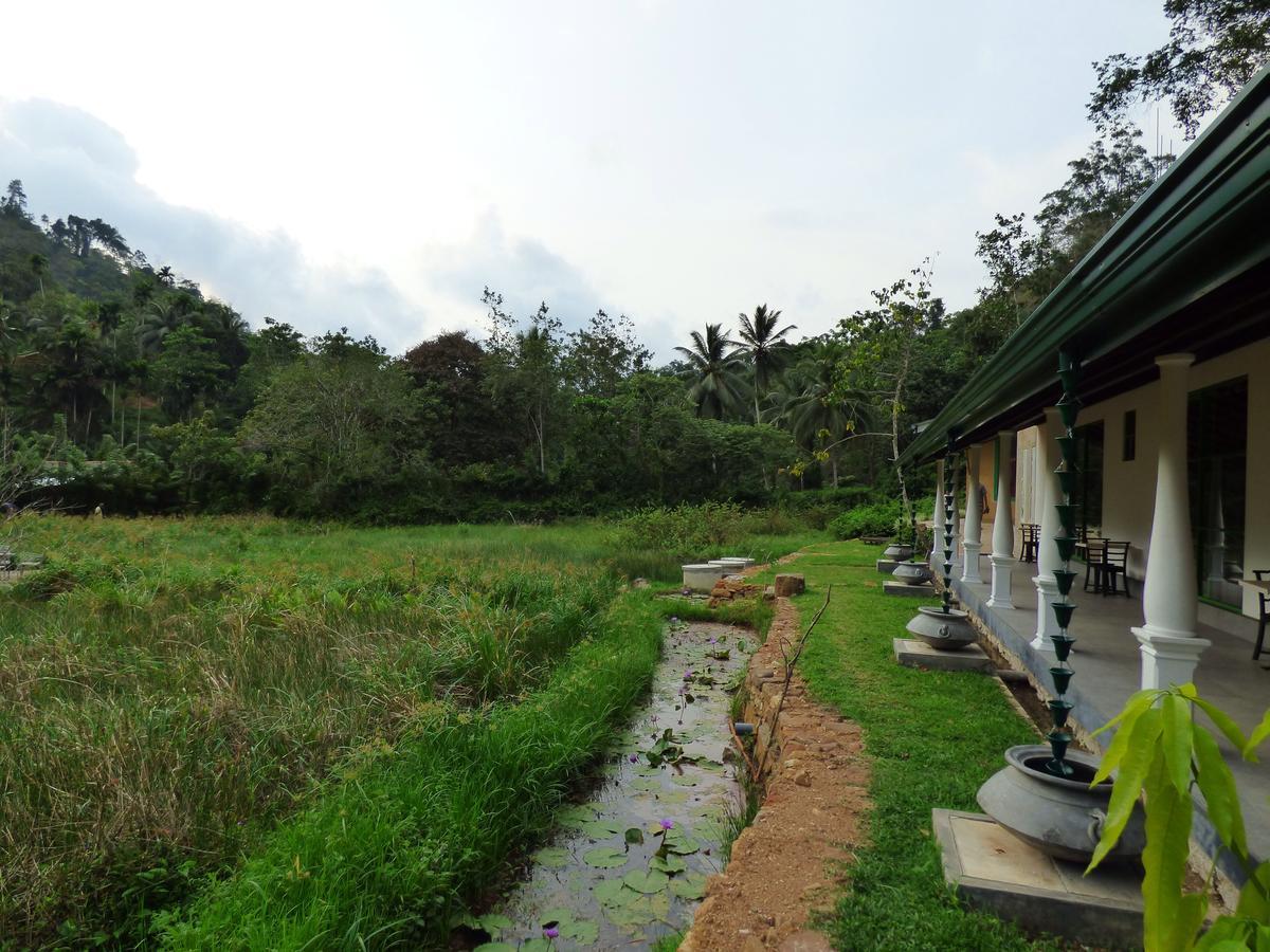 Explore Sinharaja Rain Forest Tour Camp Dombagoda Eksteriør billede