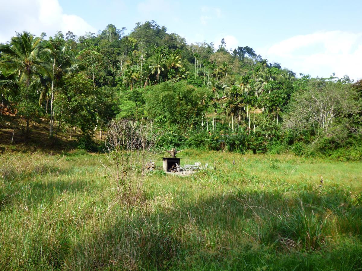 Explore Sinharaja Rain Forest Tour Camp Dombagoda Eksteriør billede