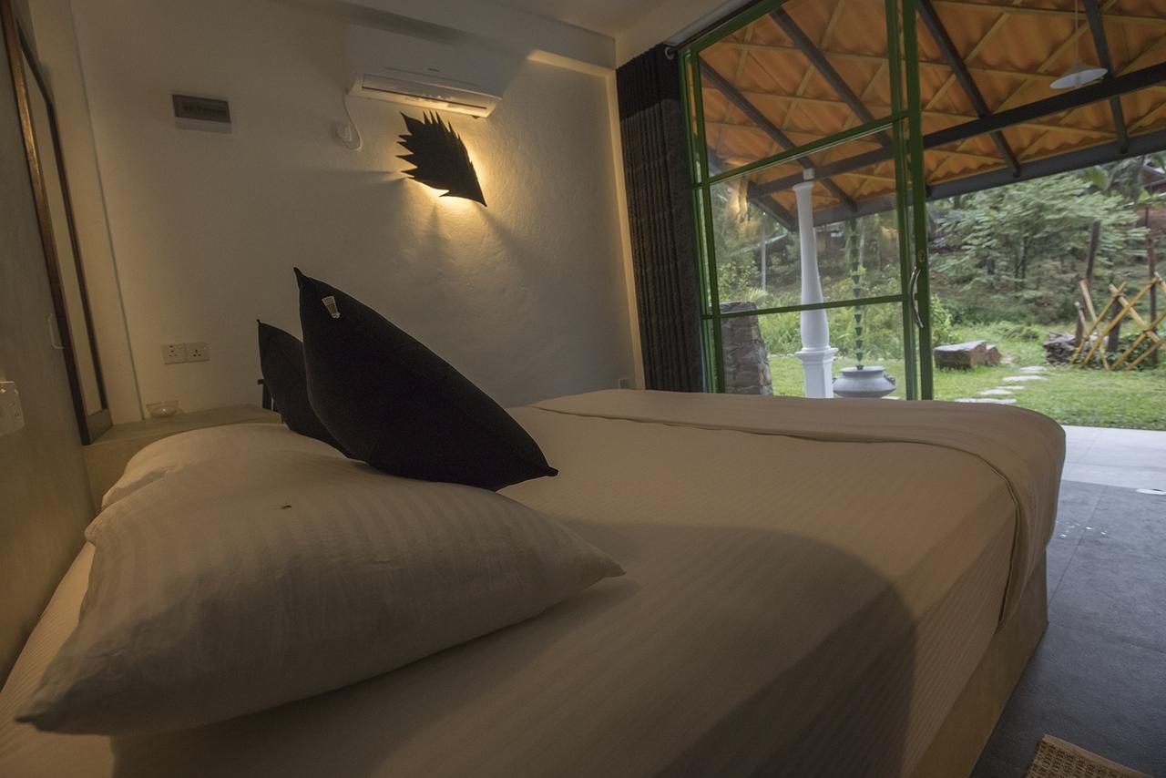 Explore Sinharaja Rain Forest Tour Camp Dombagoda Eksteriør billede