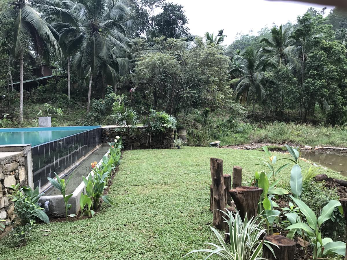 Explore Sinharaja Rain Forest Tour Camp Dombagoda Eksteriør billede
