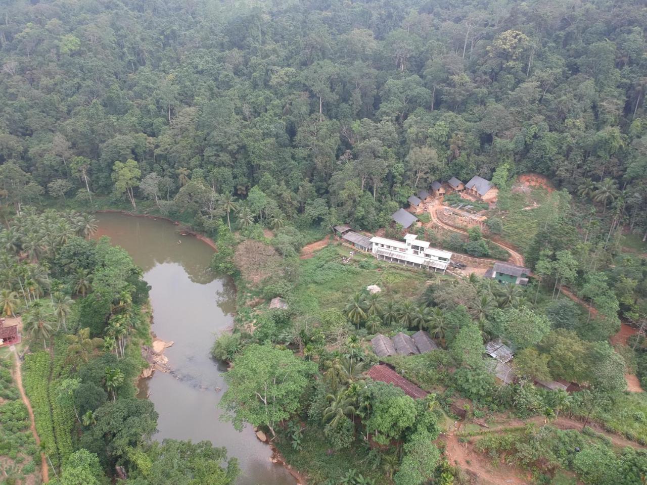Explore Sinharaja Rain Forest Tour Camp Dombagoda Eksteriør billede